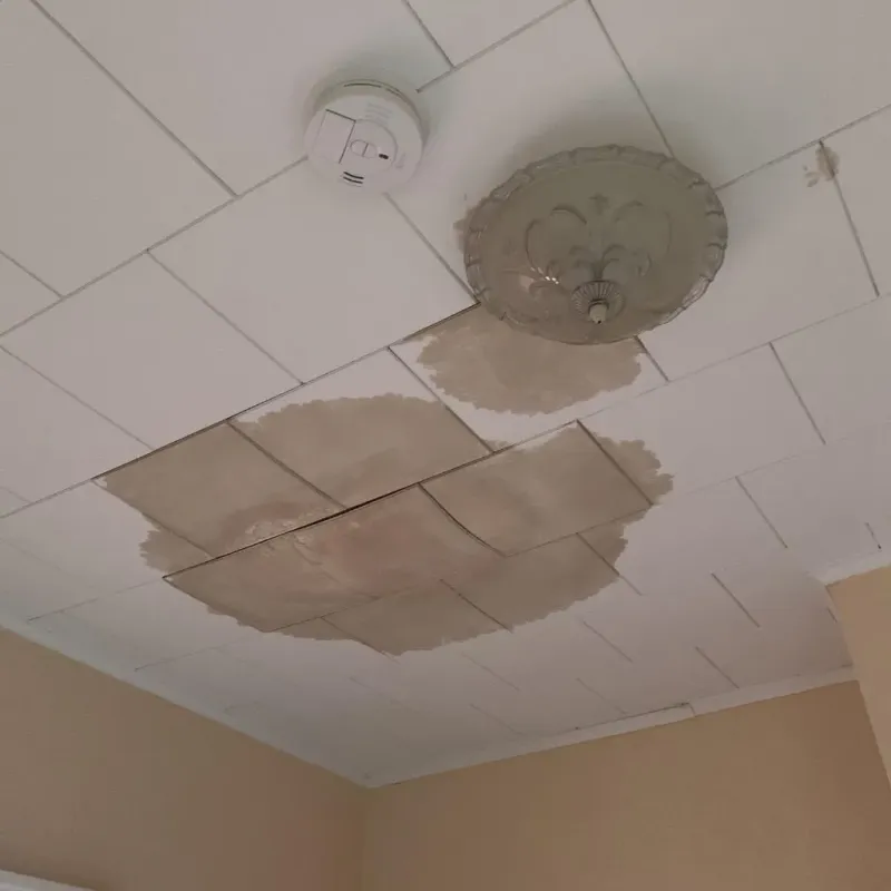 Ceiling Water Damage Repair in Buffalo, MN