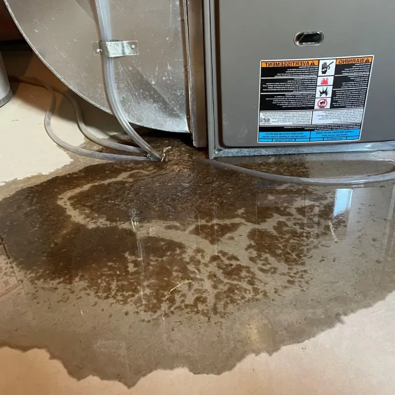 Pipe Burst and Leak Restoration in Buffalo, MN